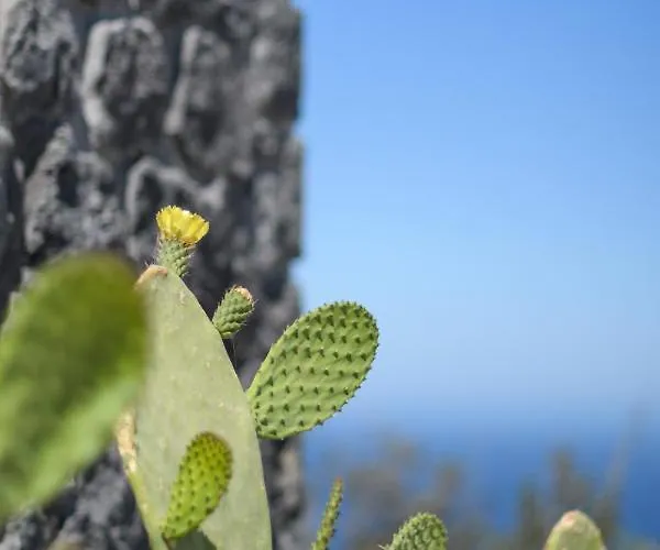 Lithi Luxury Retreat Aparthotel 4*