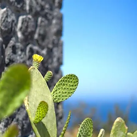 Lithi Luxury Retreat 4* Imerovigli (Santorini)