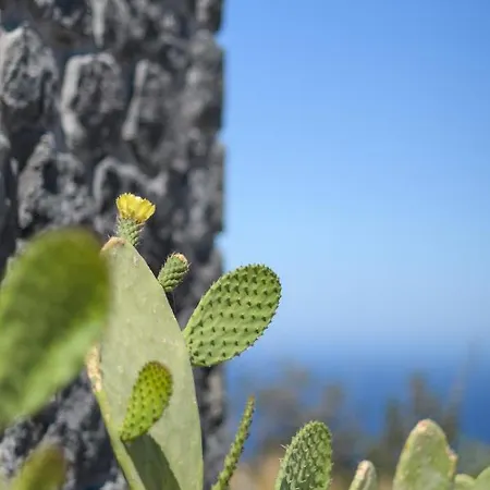 Lithi Luxury Retreat Appart hôtel 4*